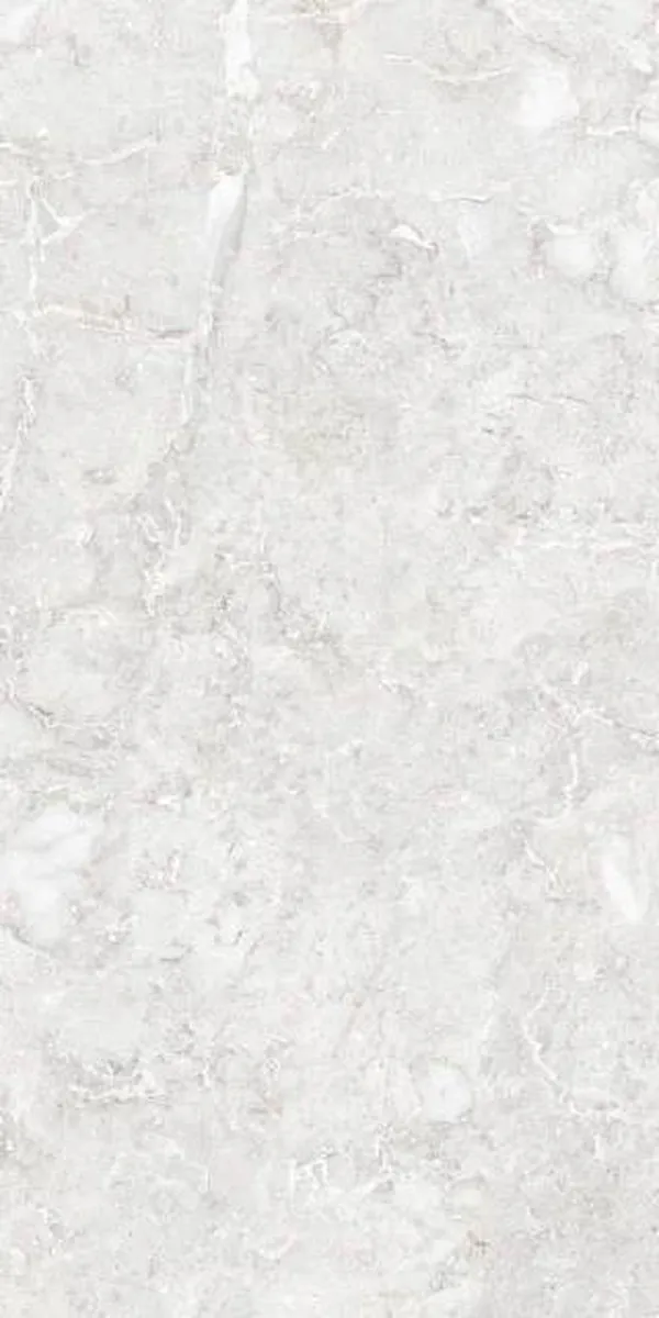 Glossy Finish EBANA-BIANCO GVT 600x1200mm